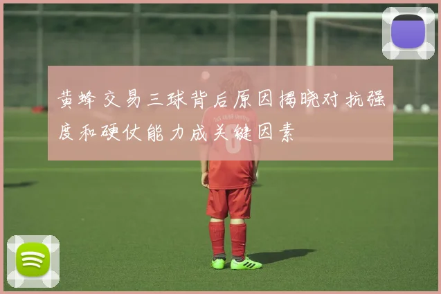 黄蜂交易三球背后原因揭晓对抗强度和硬仗能力成关键因素